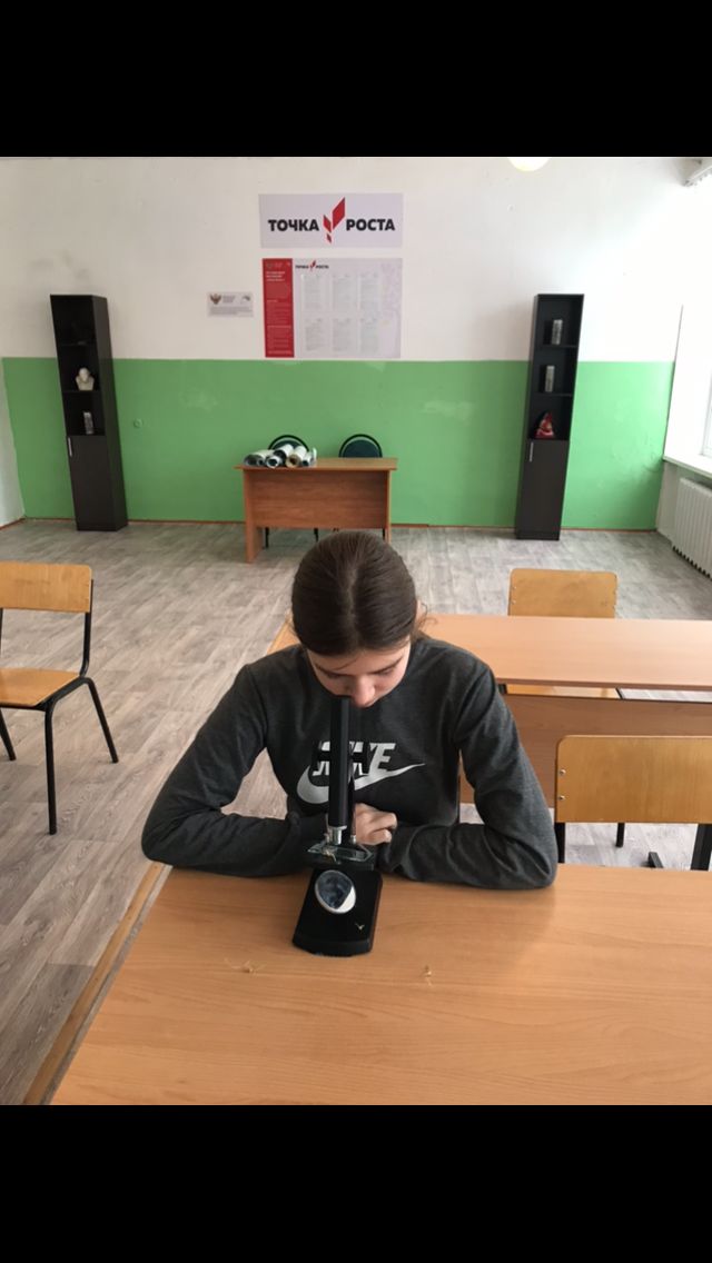 Фотогалерея.
