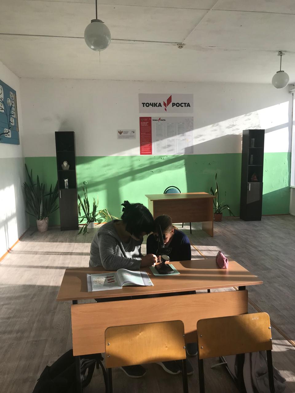 Лабораторная работа &amp;quot;Строение семени однодольных и двудольных растений&amp;quot;.